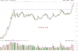 股票600261,小幅上涨，收盘价3.15元”