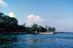杭州中青旅旅行社,畅游江南，尽享青春之旅