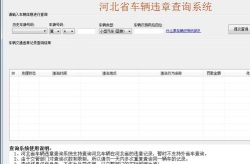 车辆违章信息查询,一网打尽，安全出行无忧