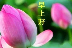 （怕发烧出疹推迟或不打麻腮风疫苗可能吗？）（好听的游戏id是什么）？80年代西影厂七大丽人真是一个比一个悦目现在她们还好吗